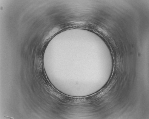 X0000060271354200511181409