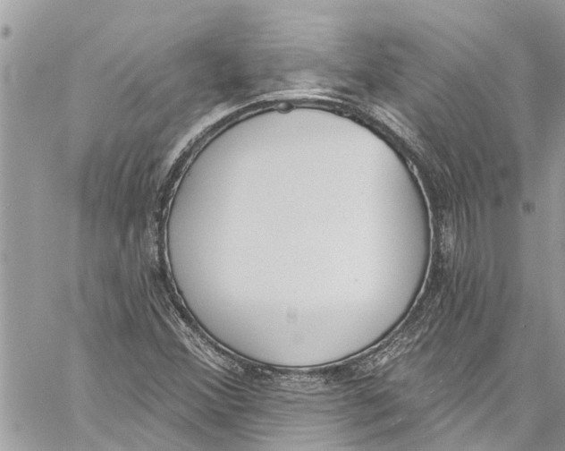 X0000060271356200511181409