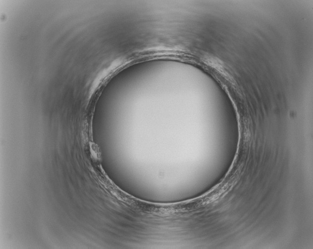 X0000060271357200511181409