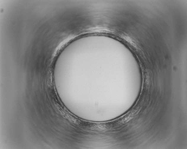 X0000060271358200511181409