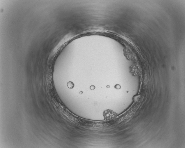 X0000060271359200511181409