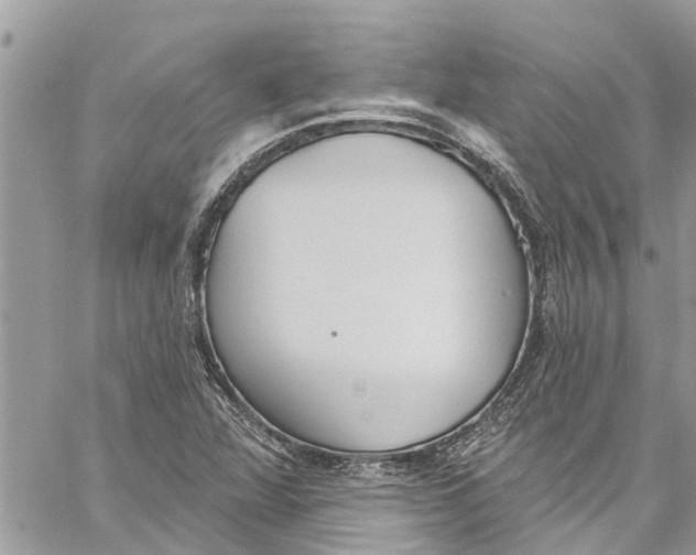 X0000060271360200511181409