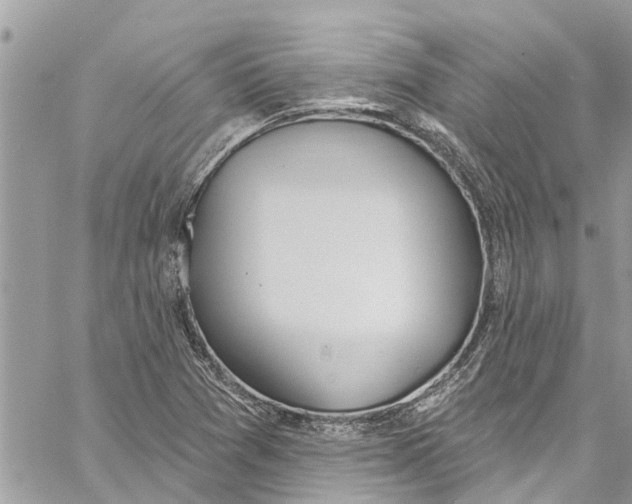 X0000060271361200511181409