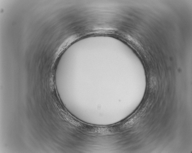 X0000060271362200511181409