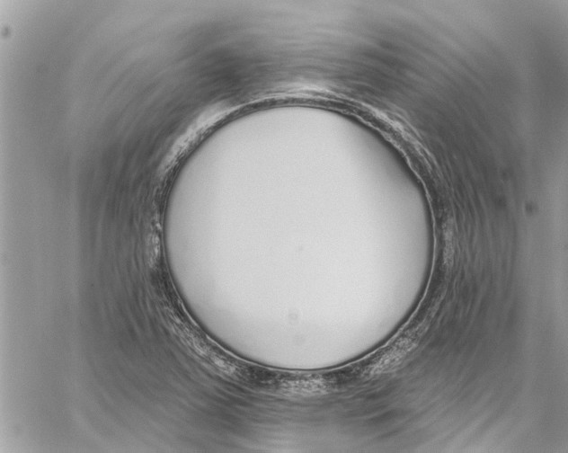 X0000060271363200511181409