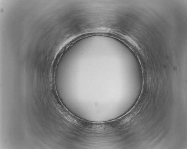 X0000060271364200511181409