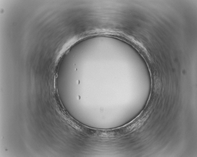 X0000060271365200511181409