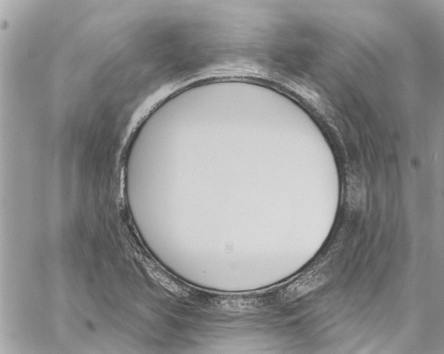 X0000060271366200511181409