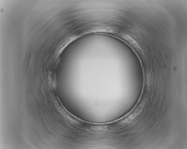 X0000060271369200511181408