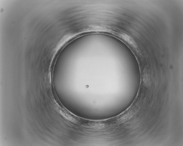 X0000060271372200511181408