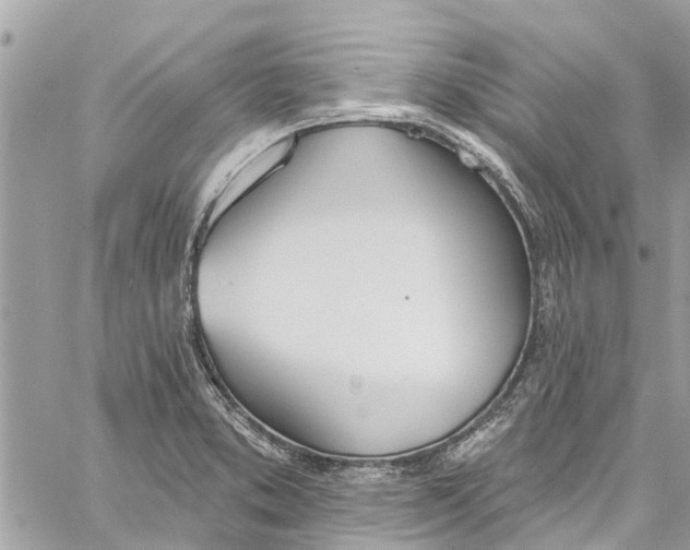 X0000060271373200511181408