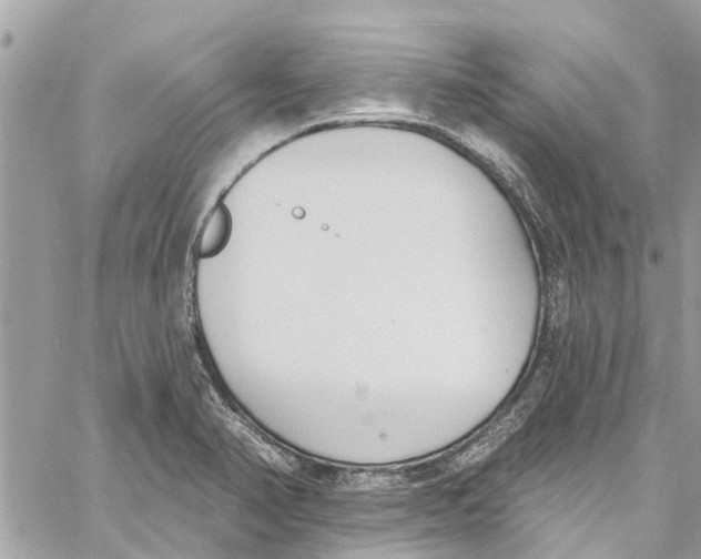 X0000060271374200511181408