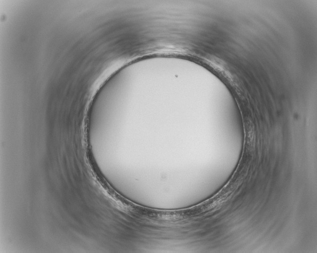 X0000060271375200511181408