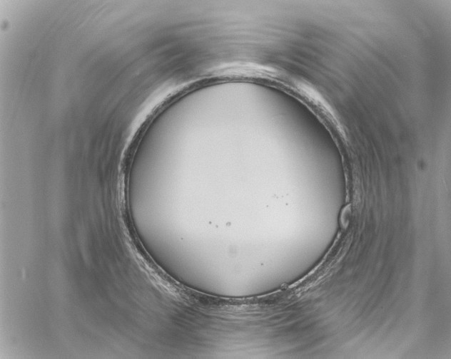 X0000060271376200511181408