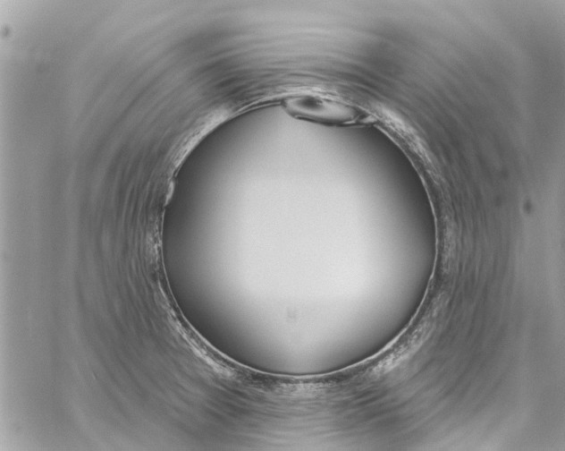 X0000060271377200511181408