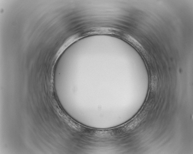 X0000060271378200511181408