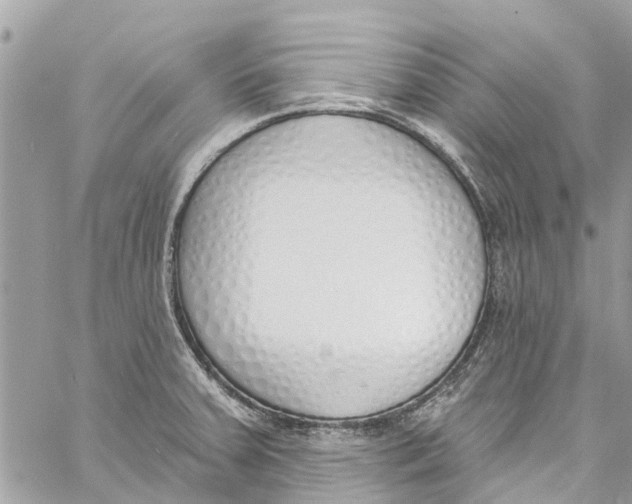 X0000060271379200511181408