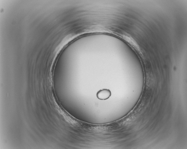 X0000060271380200511181408