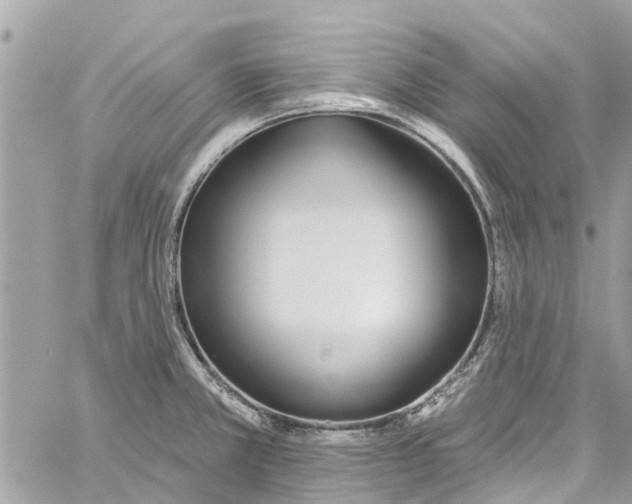 X0000060271381200511181408