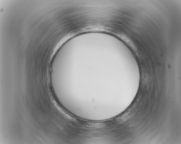 X0000060271382200511181408