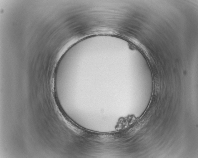 X0000060271383200511181408