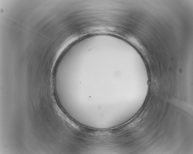 X0000060271384200511181408