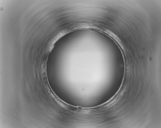 X0000060271385200511181408