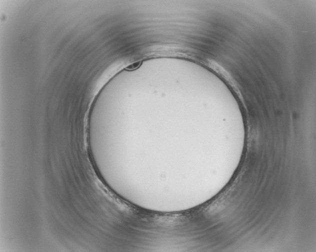 X0000060271386200511181408