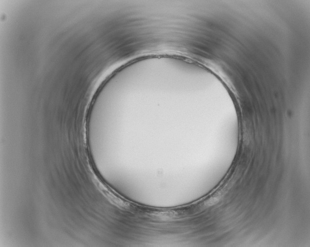 X0000060271388200511181408