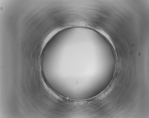 X0000060271389200511181408