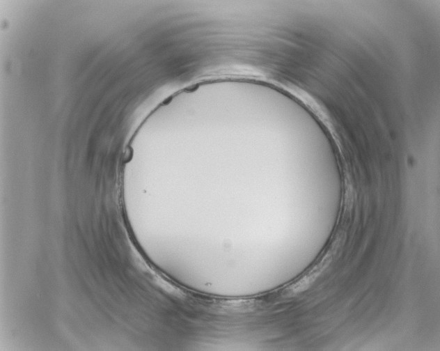 X0000060271390200511181408