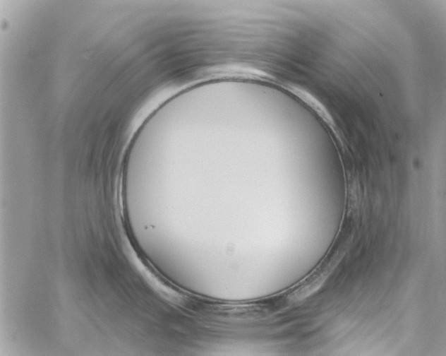 X0000060271391200511181408