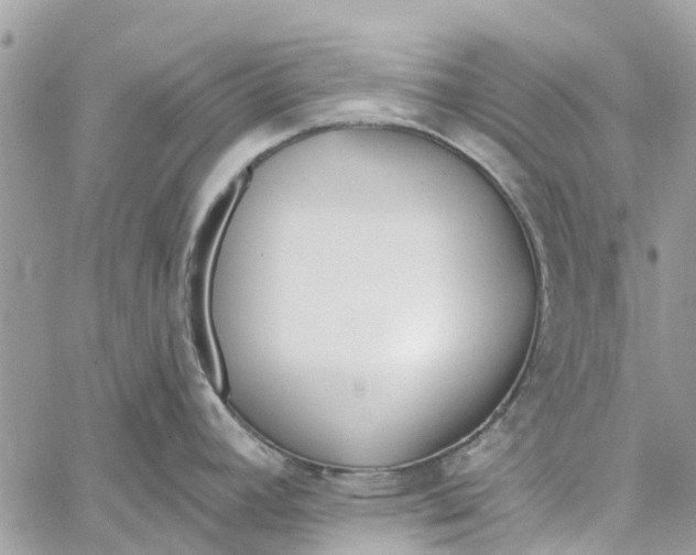 X0000060271392200511181408