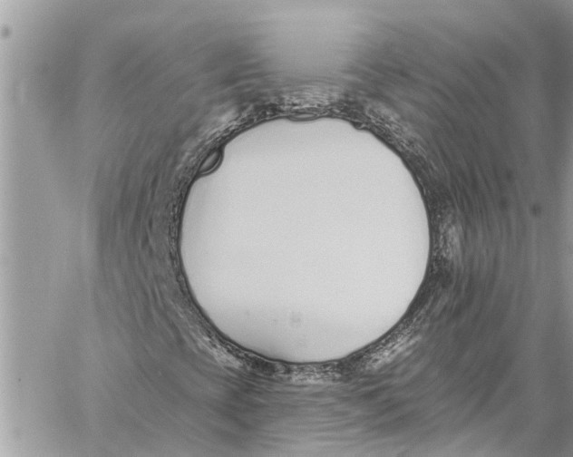 X0000060271393200511181407