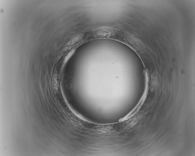 X0000060271394200511181407