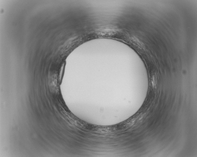 X0000060271396200511181407