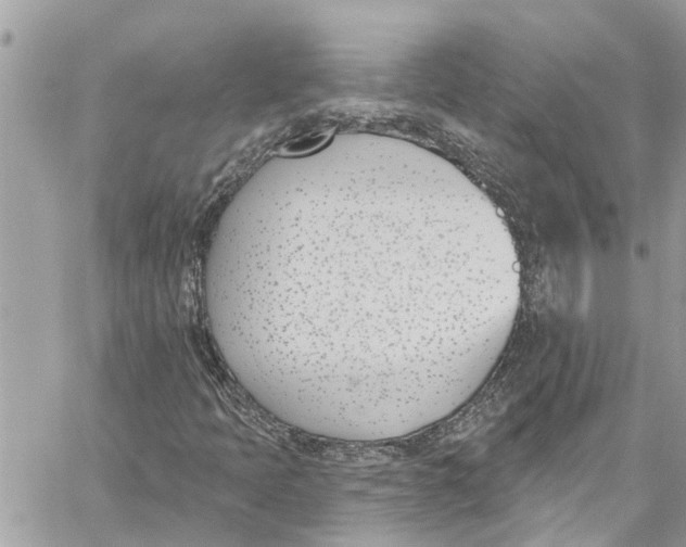 X0000060271397200511181407