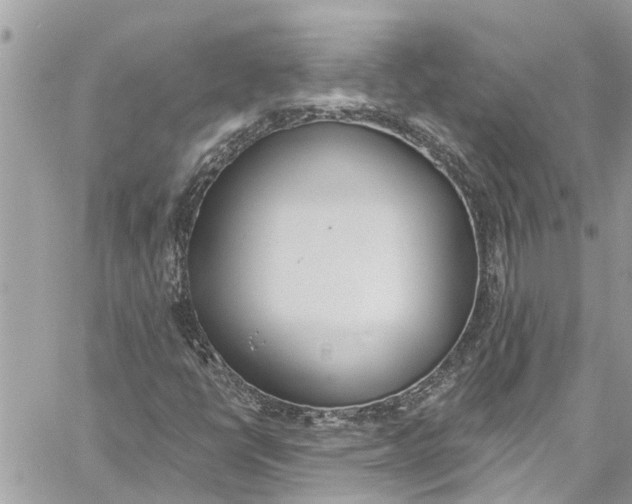 X0000060271398200511181407