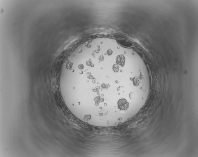 X0000060271399200511181407