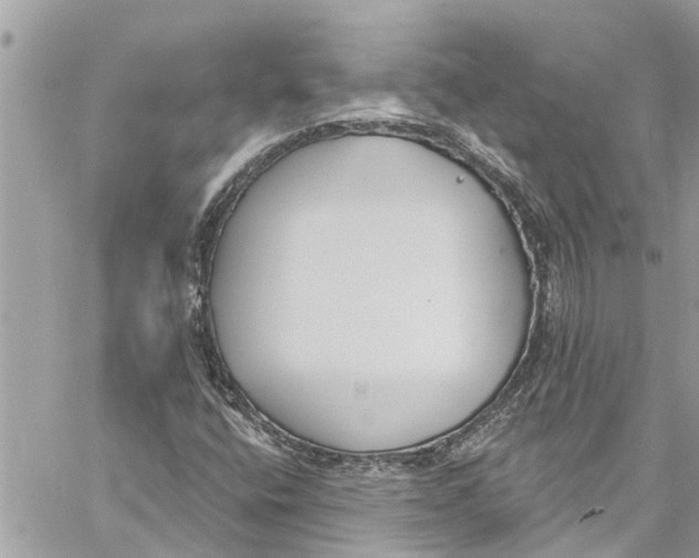 X0000060271400200511181407