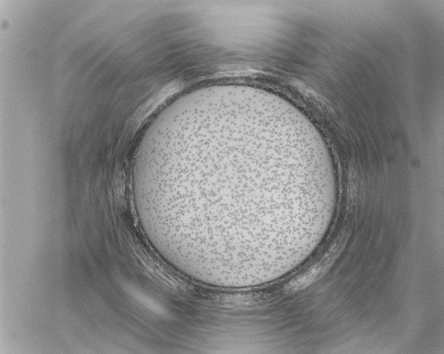 X0000060271401200511181407