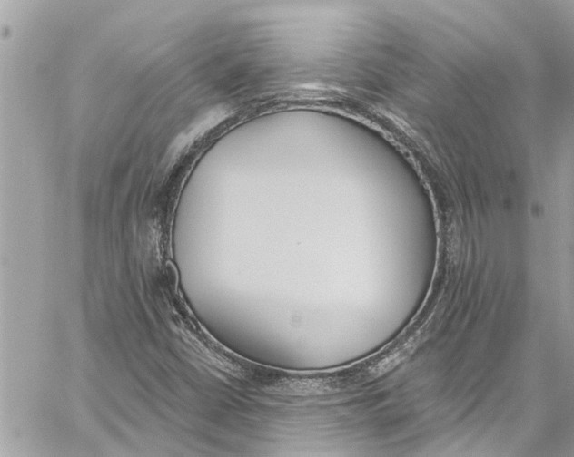 X0000060271402200511181407