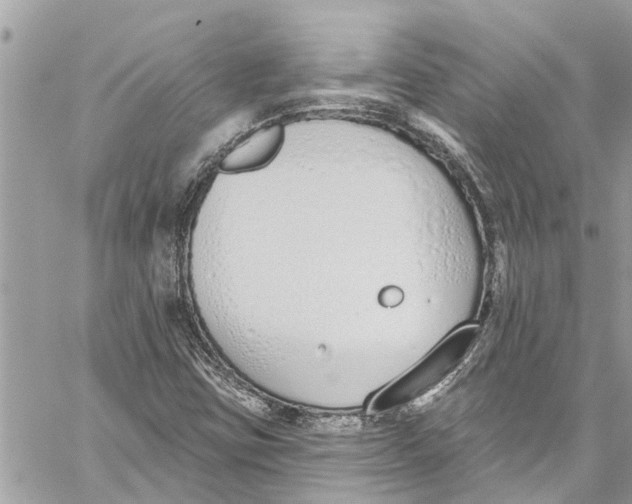 X0000060271403200511181407