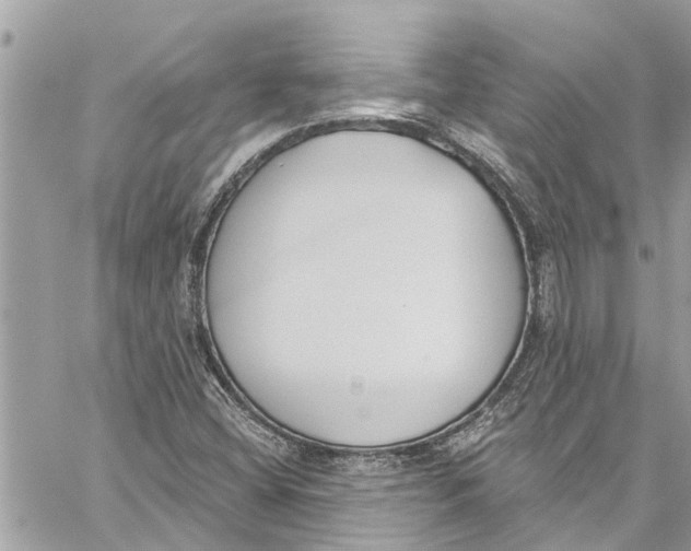 X0000060271404200511181408