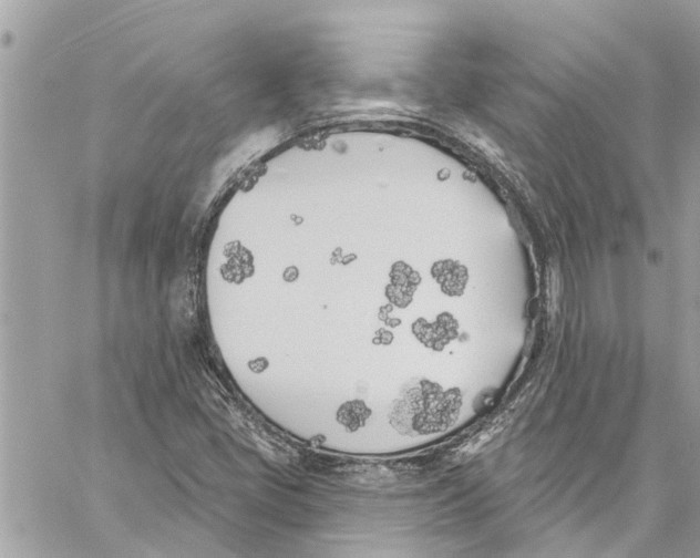 X0000060271405200511181408