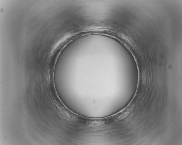 X0000060271406200511181408