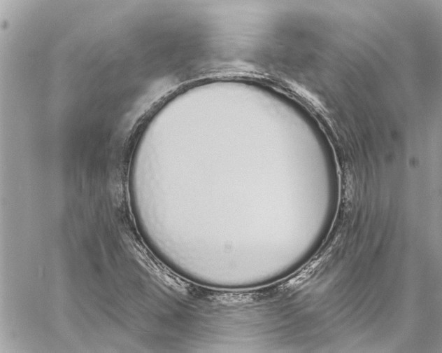 X0000060271407200511181408