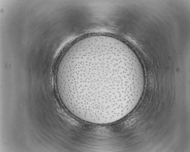 X0000060271408200511181408