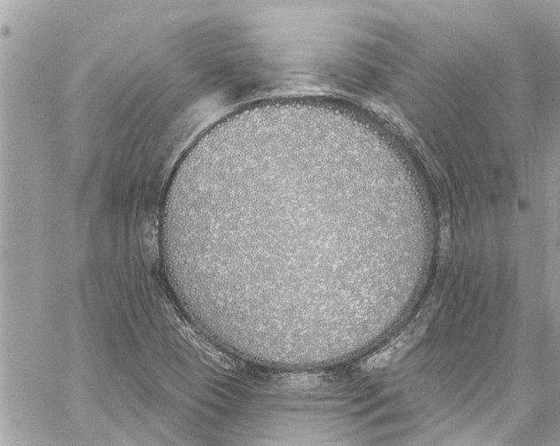 X0000060271409200511181408