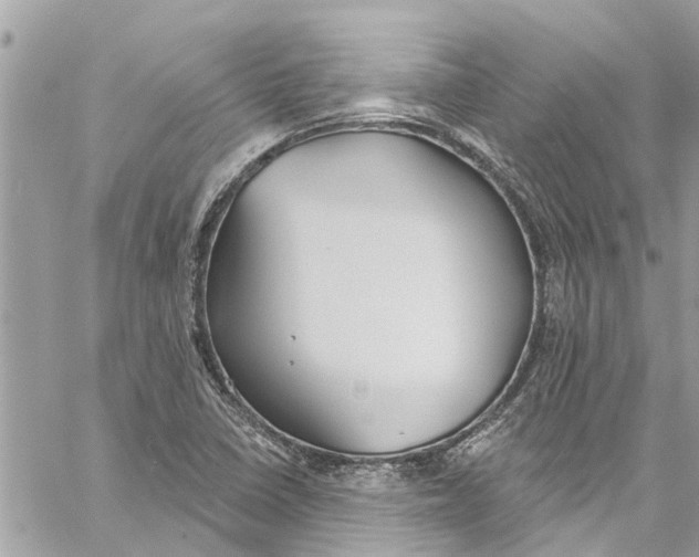 X0000060271410200511181408